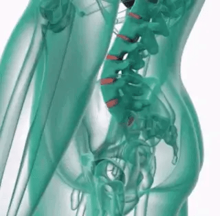 FAJA LUMBAR REFORZADA CON DOBLE AJUSTE
